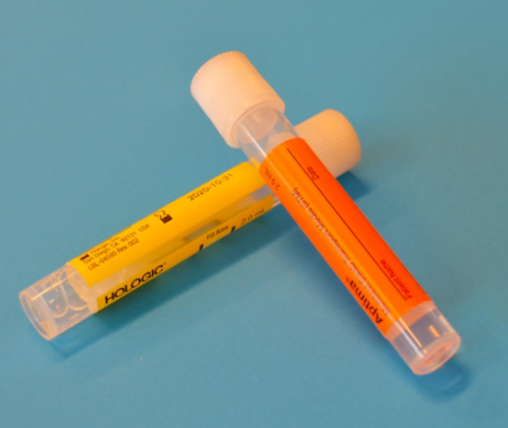 Fertility Bloodwork Guide